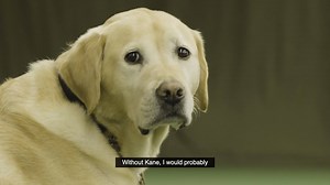 185K views · 1K reactions | Game, set and match. Rosie tells us all about how to absolutely smash it at playing blind tennis. . [Accessible version: https://youtu.be/0t9CCd-gnvo] | Guide Dogs UK | Facebook