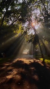 Embark on a journey through time and nature at Smuts House Museum's Oom Oubaas Trail in Pretoria. Explore the museum dedicated to legendary Oom Jan Smuts and greet Ouma Isie along the way. 😁 Delve into lush green bushveld and ancient forests, where tall trees whisper tales of centuries past. Conclude your adventure at Ouma Isie's Tea Garden. 🌿 📷: @hiking_with_francois . . . #hikersofinstagram #smutshouseusuem #hikehappy #explore #getoutdoors #summit #hikingadventures #adventure #freshair #sol