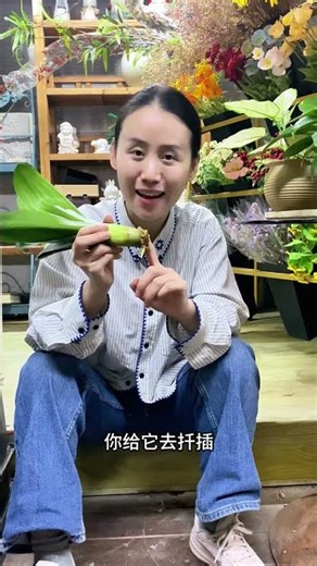 My clivia's roots are completely rotten, what should I do? #clivia #cliviacultivation #flowersand...