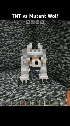 Minecraft : TNT vs Mutant Wolf #minecraft #shorts