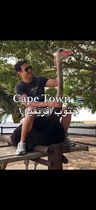 فلوق جنوب افريقيا كيب تاون 🇿🇦🐧⛰️🥁 #جنوب_افريقيا #southafrica #capetown #كيب_تاون #فلوقات_تيك_توك