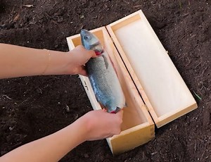 3.7K views · 16 reactions | A Guide to Home Food Preservation | 3-Minute Hacks | Facebook