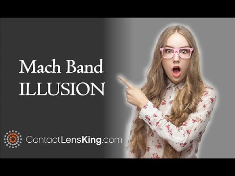 Mach Bands Effect and How This Illusion Impacts Our Vision