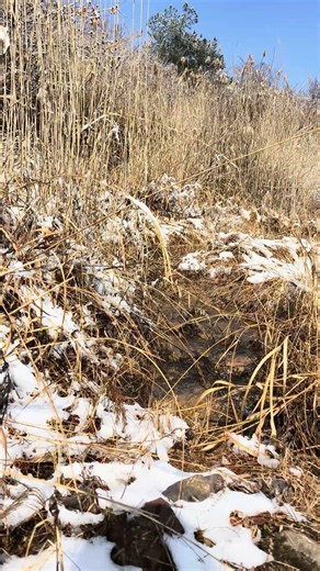 Sounds of snow melting into water #watersounds #asmr #nature #calm #winter