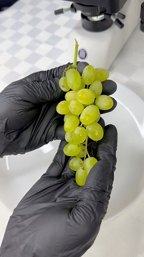 Have you ever seen grapes under a microscope??? #science #experiment #microscope | RHCB Experiments