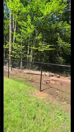 5FT Black Chain Link Installed in Epping NH 📍 #ultrafence