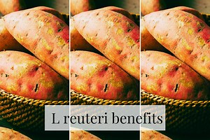 15 Weird But Effective L reuteri Benefits for Your Gut Health