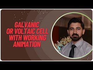 Galvanic or Voltaic cell with working animation