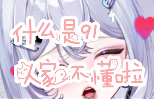 所以91是什么？到底是什么？