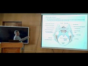 Anatomy of the Sacroiliac Joint