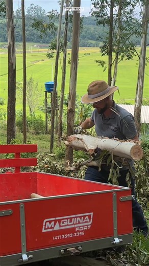 Motolenhador MLM-8 MaquinaFort 🪵⚙️ Corta fácil, rende muito e mantém o ritmo acelerado! O MLM-8 garante potência no corte enquanto as carretinhas MaquinaFort fazem o transporte da madeira, a dupla perfeita pra produtividade no campo. 💪 | Maquinafort Maquinas e Equipamentos
