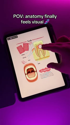 colorful notes created in ZoomArt App 🌈#studytok #anatomy #studywithme #notes #studytips