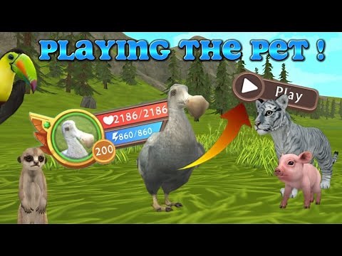 WildCraft: How to Play your Pet (Playable Pet) ! Tutorial Glitch