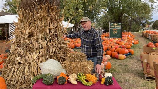 135 reactions · 11 shares | FALLISHERE STOP IN HERE AT LJs’ FOR...