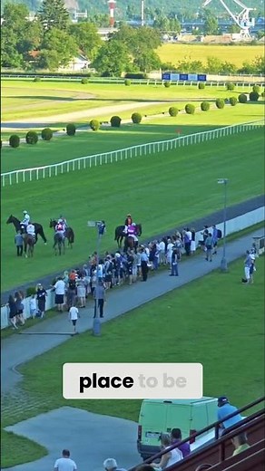 Man o' War: The Undefeated Horse Racing Legend | Dreddphotos travel