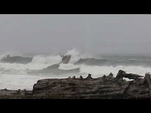 Coast Guard practicing in the surf. La Push, WA. Oct 18, 2025