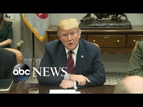 Trump orders emergency grounding of Boeing 737 MAX 8 and MAX 9 planes