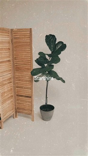 6.3K views · 344 reactions | Dresses that look amazing - and feel even better. | Weird Fish Clothing | Facebook