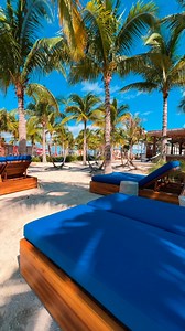 35K views · 1.2K reactions | Once you've been to The Beach Club at Bimini, you'll never quite feel the same way again ️ | Virgin Voyages | Facebook