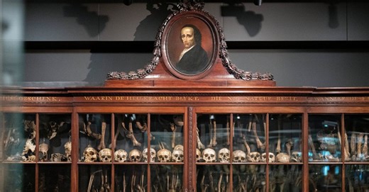 De rijke collectie foetussen, skeletten en organen van Museum Vrolik: ‘Natuurlijk roept dat ethische vragen op’