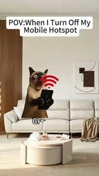 CAT MEMES🐱When I Turn Off My Mobile Hotspot#catmemes #memes #funnymemes #funny #foryou #relationship