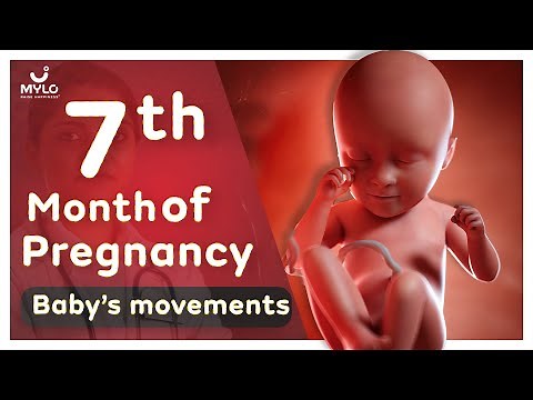 7th Month Pregnancy Baby Development | 7th Month Pregnancy Baby Growth | Mylo Family