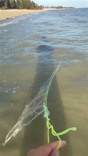 The stronger the wind and waves, the bigger the fish