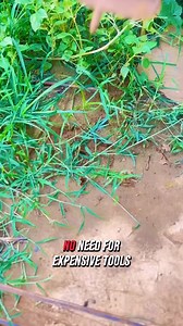 This homemade earth auger, crafted from an old saw blade, drills soil with ease. #DIYGardenTools #UpcycledInnovation #GardeningHacks #CreativeGardening #EcoFriendlyTools | Metzgerei Ogunquit Studio