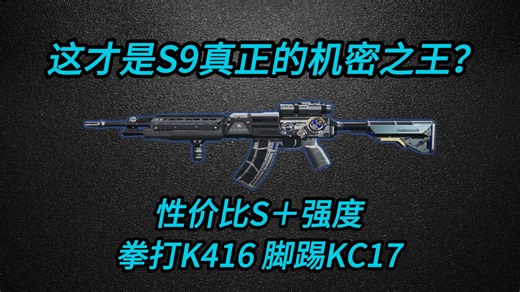 三角洲行动 仅需14W！0.27秒ttk！教你稳压S9完美性价比轮椅qjb201！