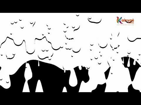 Cement Board Jointing Compound