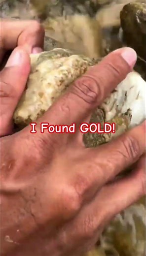 Gold Rush Style Prospecting at the Lake – Hidden Gold Found!#usa #america #nyc #california