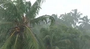9.8K views · 53 reactions | Goan Reporter News ::: visuals of Cyclone effects in goa which took place past few days | Goan Reporter | Facebook