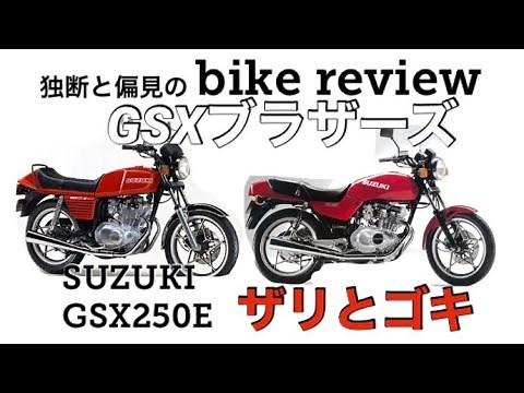 スズキGSX250E ザリとゴキ