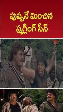 పుష్పనే మించిన స్మగ్లింగ్ సీన్ #pushpa #ultimatescene #powerfulscenes #shorts #ytshorts #teluguone