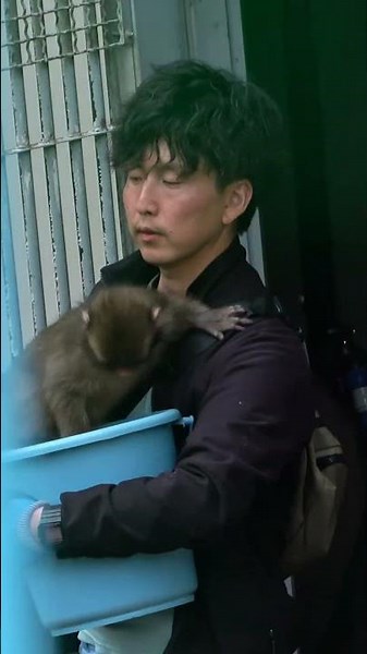 なんでそんな風に連れて行くの 可哀想すぎる… 😂😂 #パンチくん #市川市動植物園