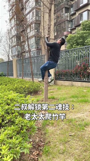 10 Years of Solitary Bamboo: The Lady's Ascension Journey