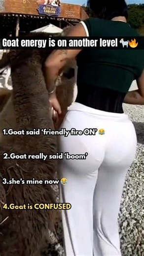 Goats vs Humans 😂 Who’s the Real Boss? #shorts