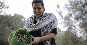 Plant Olive Trees in Palestine, Syria & Iraq | Human Appeal