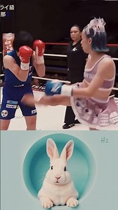 Real life Chun-Li #combatsport #kickboxing #mma #shorts #youtubeshorts #martialarts