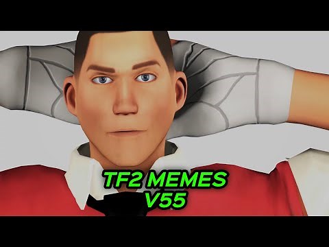 TF2 MEMES V55