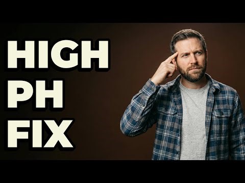 Why Is My Homebrew Mash pH Too High?