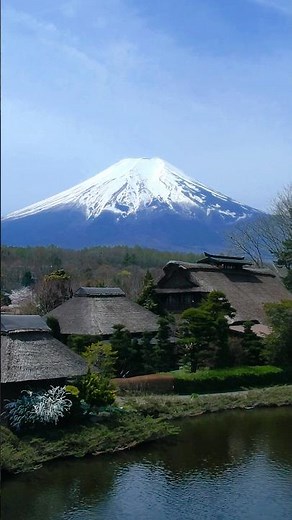 【桜と富士と忍野八海】 #山梨県 #忍野八海 #富士山 #お宮橋 #ソメイヨシノ #富士桜 #満開 #ライブカメラ