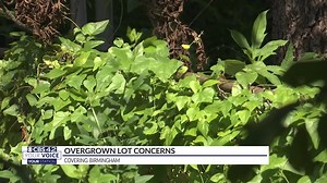 Your Voice Your Station. Watch the CBS 42 News at 10pm. | CBS 42