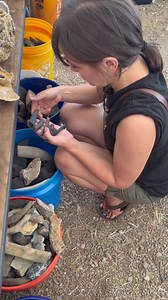 FRIDAY AT 10AM CST - go ✨LIVE✨ with @black.mothgirl while she shows off her favorite fossils in the shop! Tune in on Instagram or Facebook at 10AM CST This will be a fun one, fossils are Maris’ love language 藍 | Black Moth | Facebook