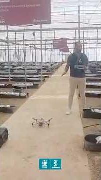 🌱🚁 LIFE-ACCLIMATE: Can a drone detect a pest before it’s visible to the naked eye?