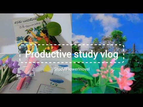 Productive study vlog😍🌼📚Sinhala