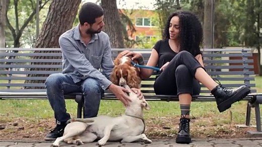 Give Your Furbaby the Gift of EMF Protection