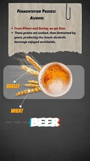 How Alcohol Is Created Naturally | Fermentation Explained #shorts