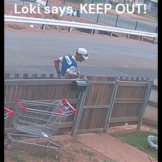 Loki Criticism on TikTok - What Does Loki Know?