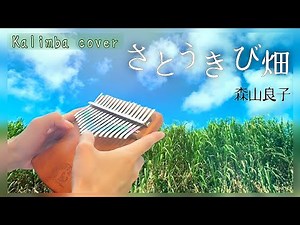 【カリンバ演奏】さとうきび畑｜森山良子｜「さとうきび畑の唄」主題歌